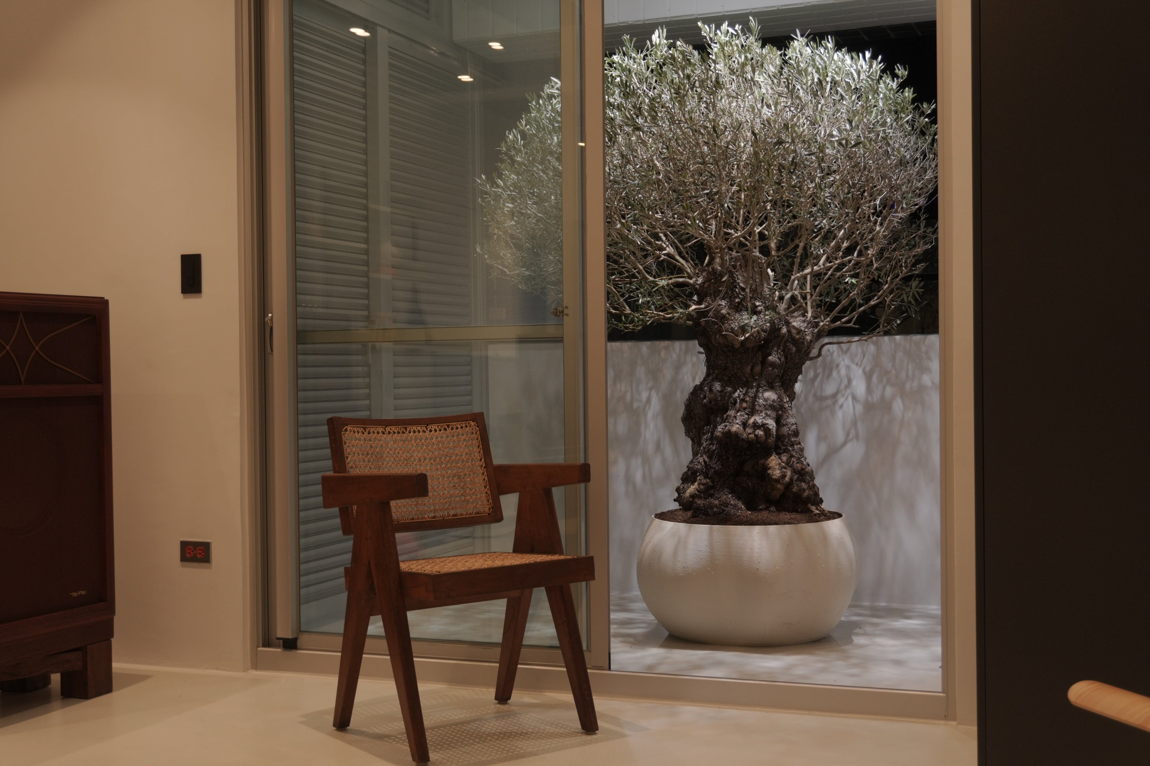 3D-Printed Planter with 200 years Olive Tree 臺中張宅
