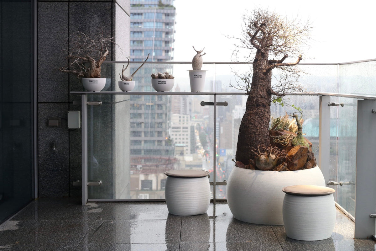 Madagascar Balcony 臺中由鉅大恆私宅